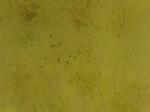 Backdrops pintado a mano MUSGO 230x250 | 14426 | Atrezzo diferente para tus sesiones