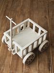 CARRO SITTER & TODDLER | 12389 | Atrezzo infantil diferente para tus sesiones
