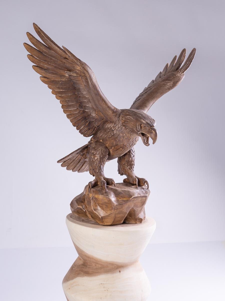 Aguila  | 14376 | Atrezzo diferente para tus sesiones