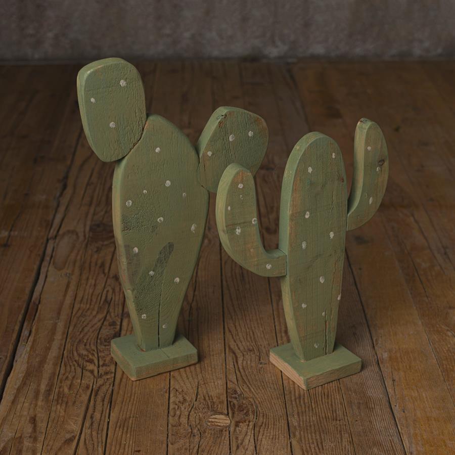 Set de cactus  | 10015 | Atrezzo infantil diferente para tus sesiones