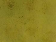 Backdrops pintado a mano MUSGO 230x250 | 14426 | Atrezzo diferente para tus sesiones