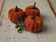 Calabazas  | 12323 | Atrezzo infantil diferente para tus sesiones