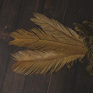 3 Hojas preservadas | 9127 | Atrezzo infantil diferente para tus sesiones