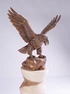 Aguila  | 14376 | Atrezzo diferente para tus sesiones