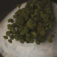 Flor preservada | 9120 | Atrezzo infantil diferente para tus sesiones