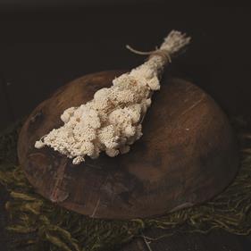 Flor preservada | 9121 | Atrezzo diferente para tus sesiones