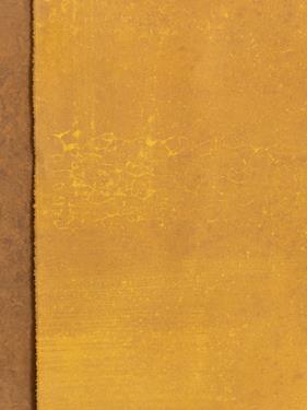 Backdrops pintado a mano GOLD 115x250  | 14427 | Atrezzo diferente para tus sesiones