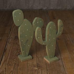 Set de cactus  | 10015 | Atrezzo diferente para tus sesiones