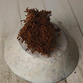 Flor preservada | 9549 | Atrezzo diferente para tus sesiones