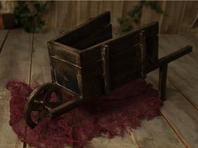 Carretilla | 13228 | Atrezzo infantil diferente para tus sesiones