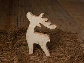 Reno  | 9843 | Atrezzo infantil diferente para tus sesiones