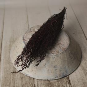 Flor preservada | 9556 | Atrezzo infantil diferente para tus sesiones