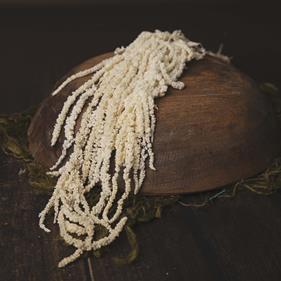 Flor preservada | 9129 | Atrezzo infantil diferente para tus sesiones