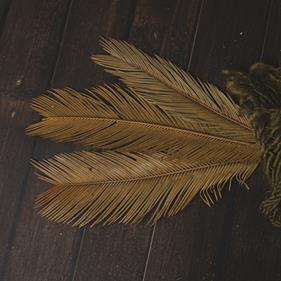 3 Hojas preservadas | 9127 | Atrezzo infantil diferente para tus sesiones