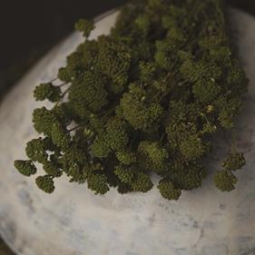 Flor preservada | 9120 | Atrezzo infantil diferente para tus sesiones